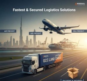 Land & Air Cargo Services